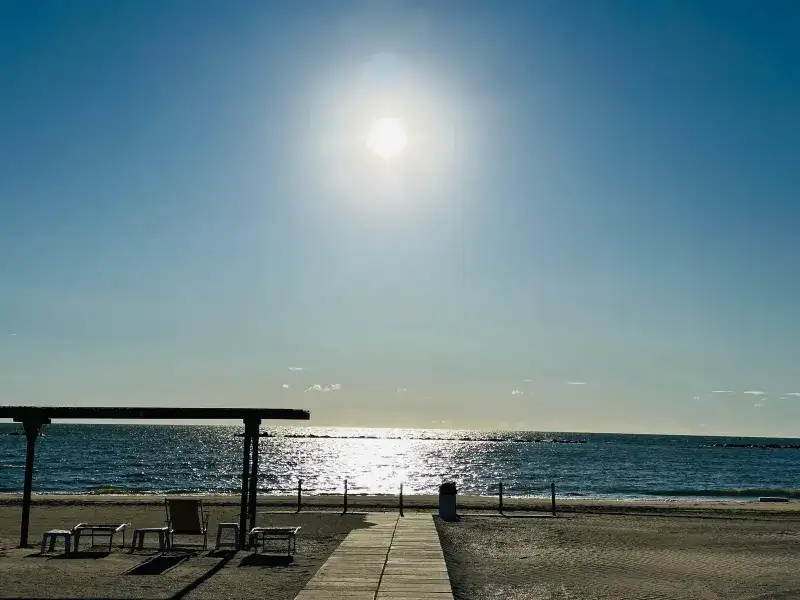 Chess Lido