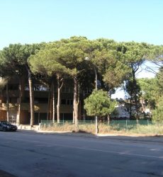 Vendesi appartamento trilocale prezzo interessante a Lido di Spina